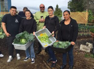 Community Gardens