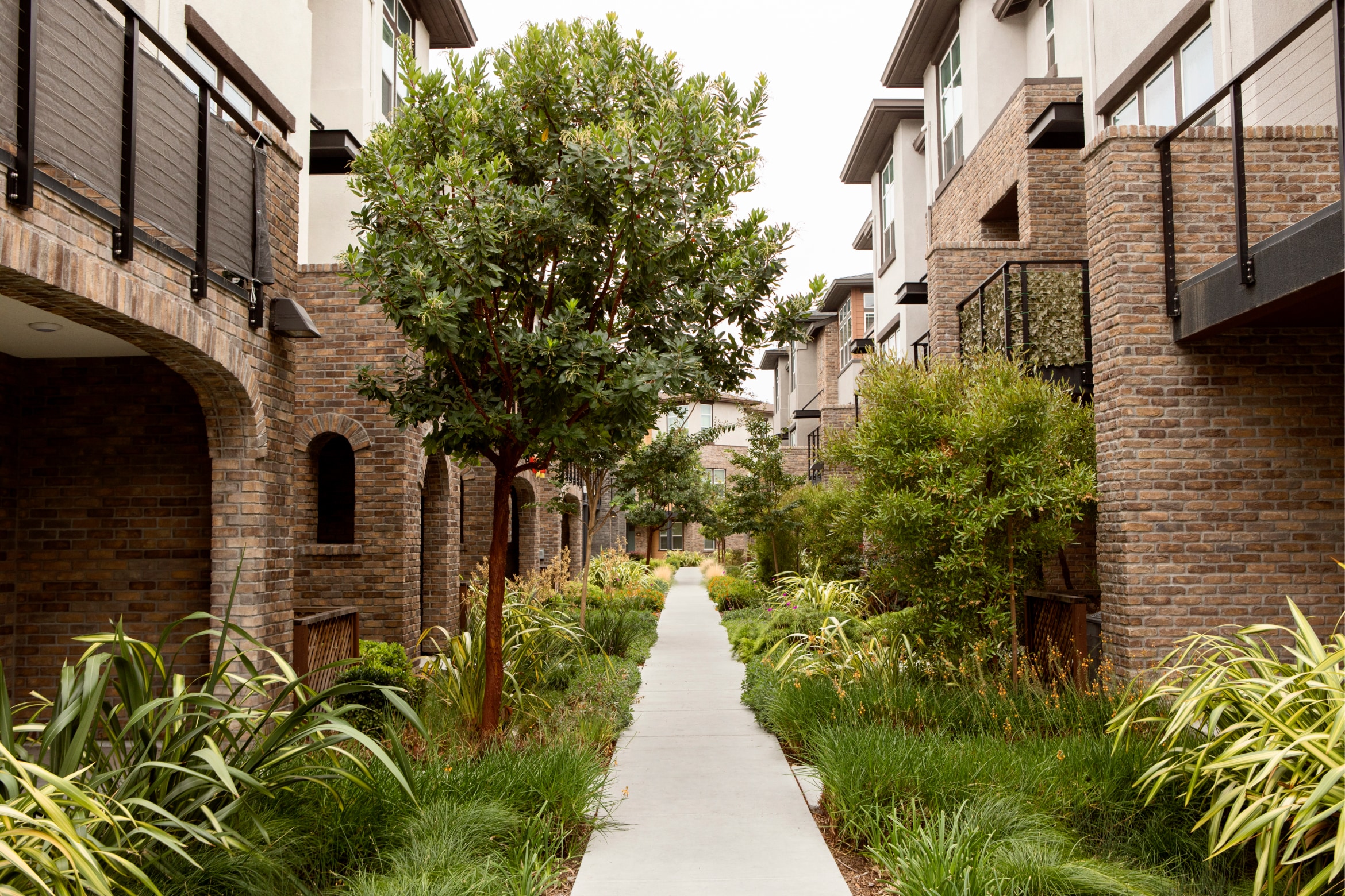 Gachina Landscaping