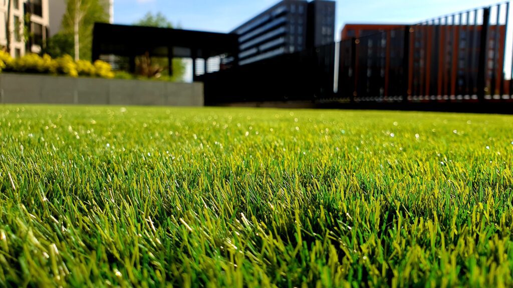 Gachina lawn maintenance