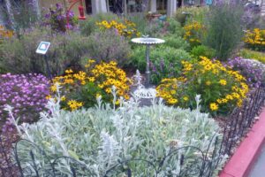 sustainable landscaping solutions