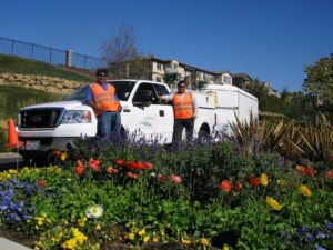 gachina landscaping 