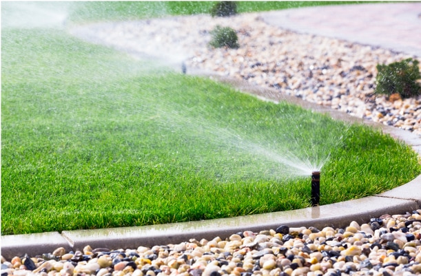 Lawn sprinkler spraying water on grass