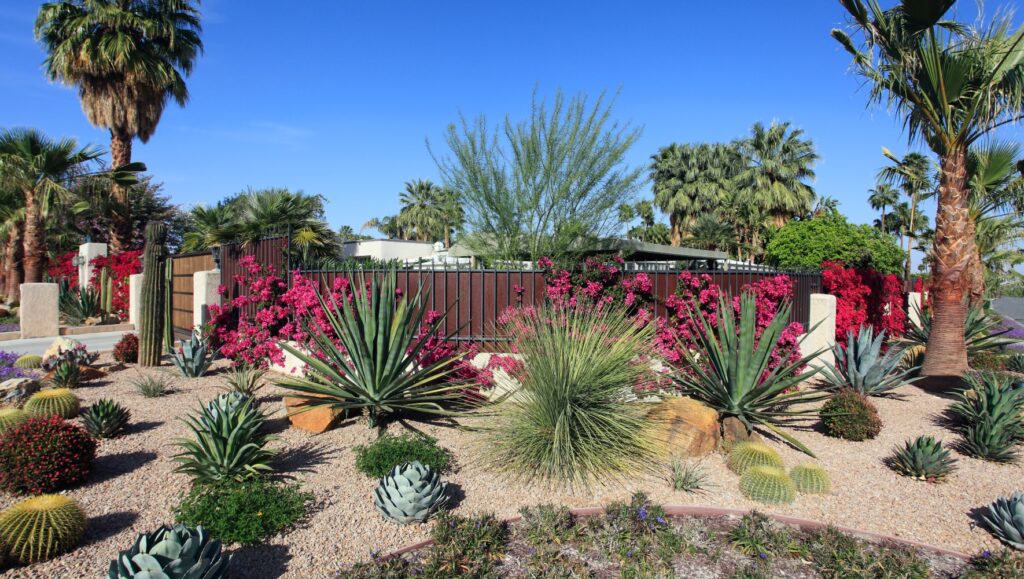 Turf Conversions to Drought Tolerant Landscapes