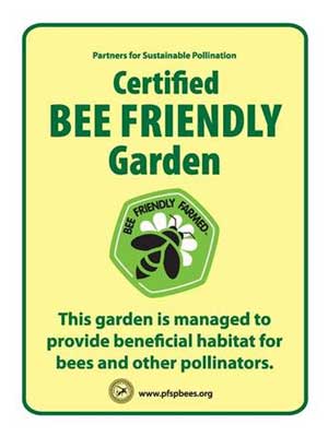 bee friendly gardens