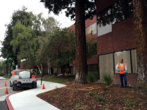 deep root fertilization and ground mulching services san jose ca