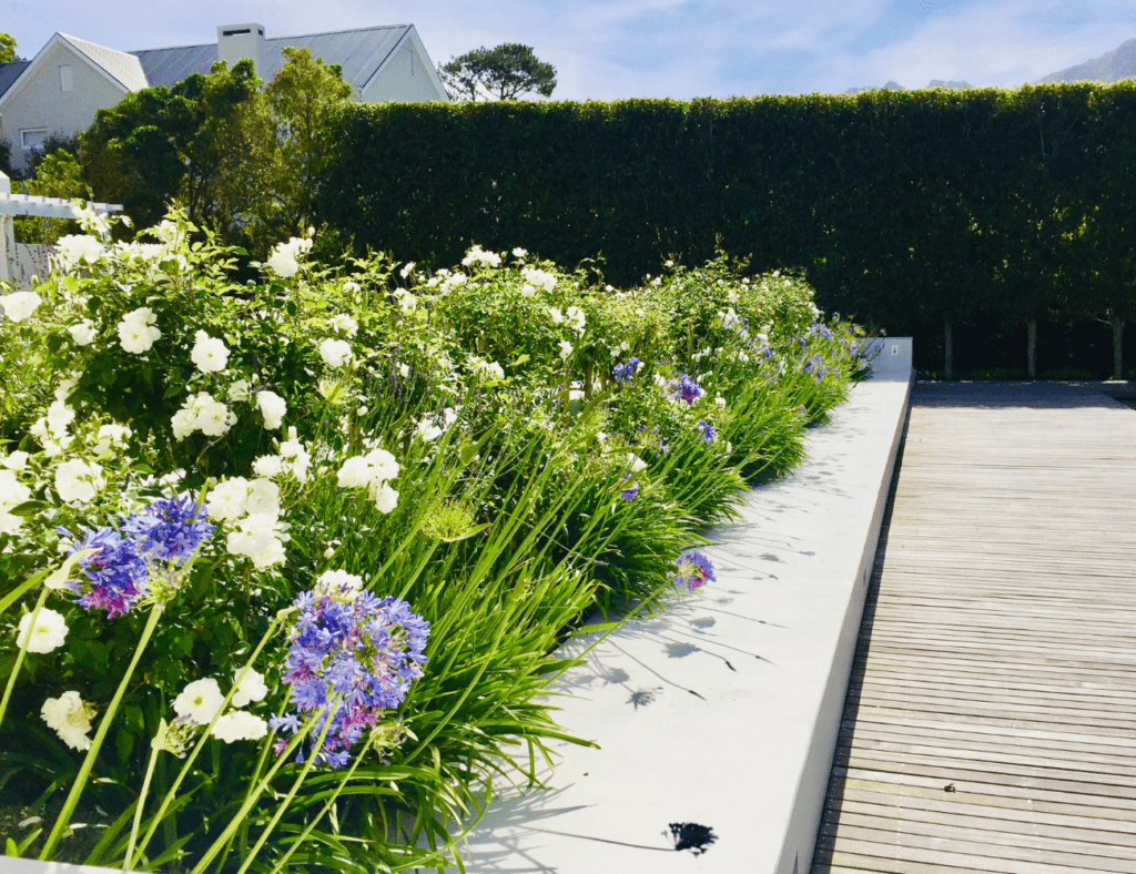 flower bed maintenance