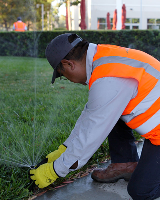 landscape-maintenance