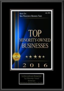 top-25-minority-owned-plaque