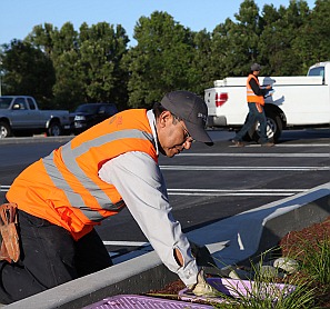 Gachina Landscaper, lawn management services in the Bay Area CA, Palo Alto